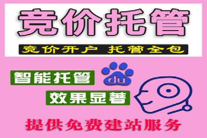 百度竞价推广公司案例：品牌知名度提升之道